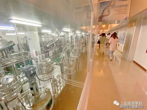 聰油餅,工業旅游才藏著想你的液